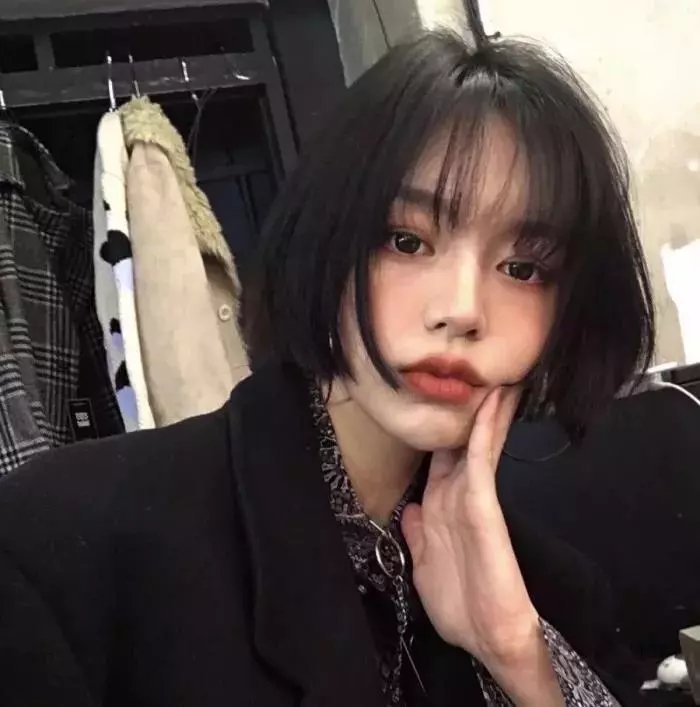 菊石